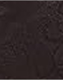 Natori - Jacquard Lace Wired Contour T-Shirt Bra