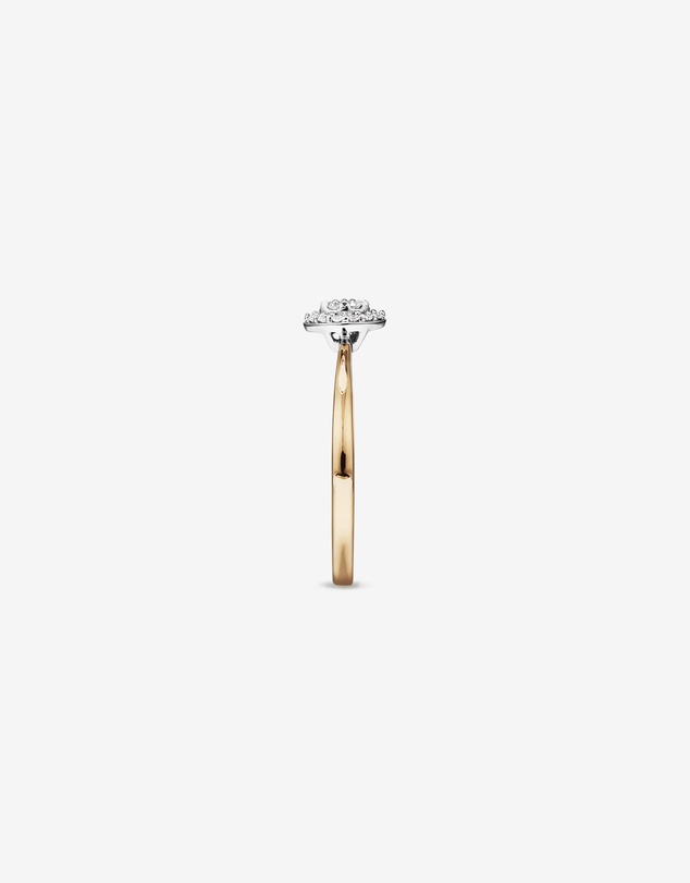 Michael Hill - 0.10 Carat TW Round Cluster Diamond Promise Ring in 10kt Yellow and White Gold
