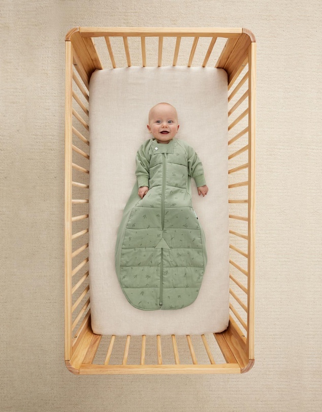 ergoPouch - Sleep Suit Bag 2.5 TOG