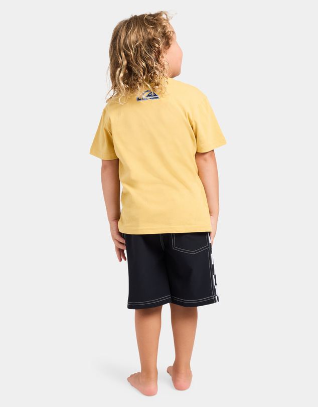 Quiksilver - Boys 2 to 7 Melted T-Shirt