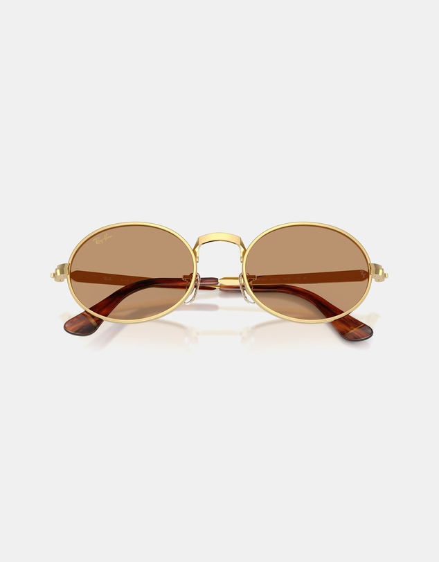 Ray-Ban - 0RB3931