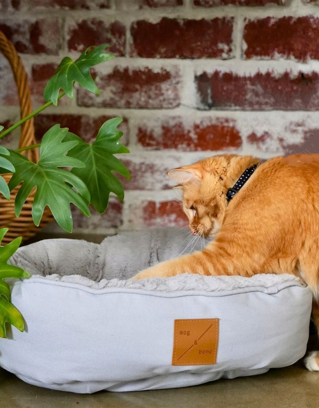 Mog & Bone - Reversible Cat Bed - Grey