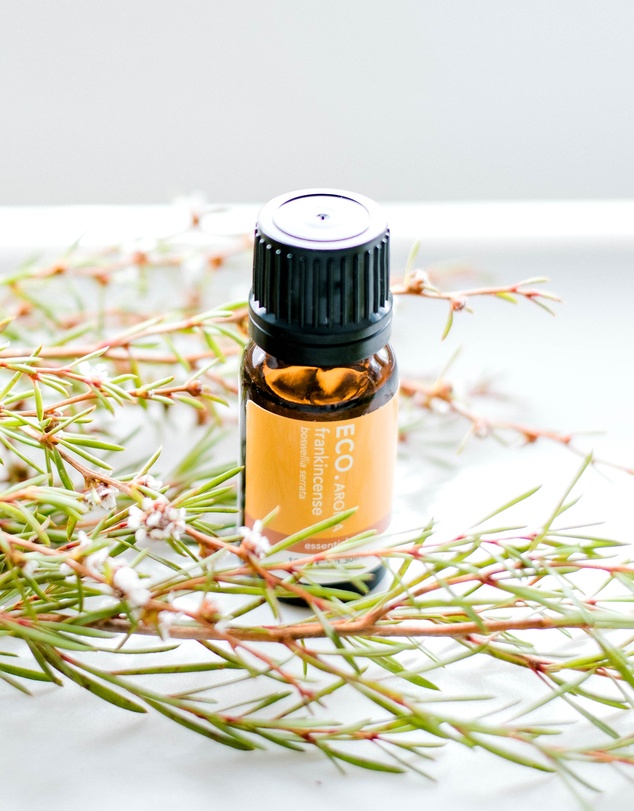ECO. Modern Essentials - ECO. Frankincense Pure Essential Oil