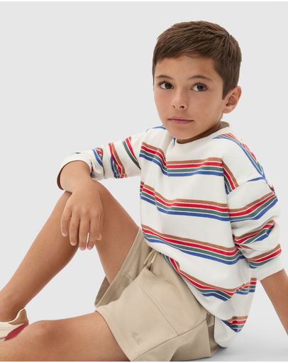 Multi Stripe