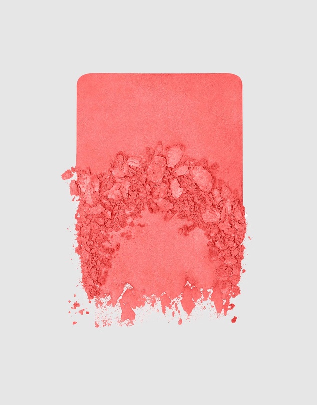 MAKE UP FOR EVER - Artist Face Powders - Blush
