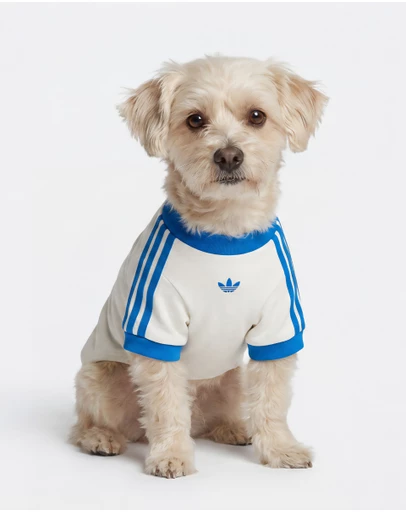 adidas Originals - adidas Pet Cali Tee