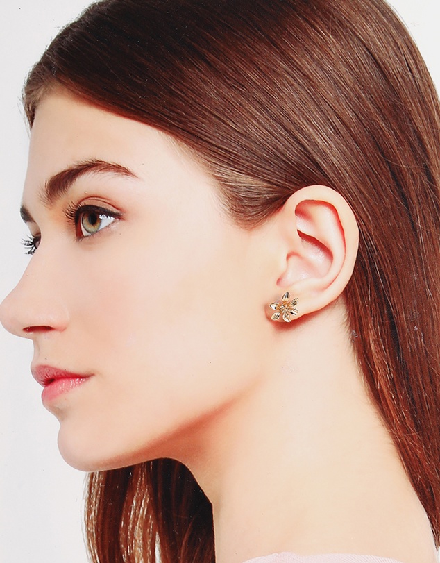 ALDO - Galloura Earrings