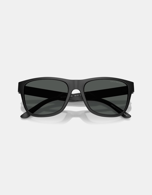 Emporio Armani - EA4243
