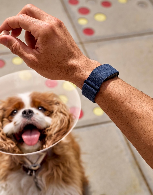 Garmin - CIRQA Smart Band L/XL