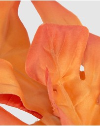 Max Alexander - Mostrera Leafs Orange Headband Fascinator