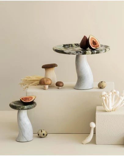 Black Blaze - Mushroom Tray