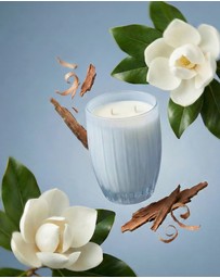 Peppermint Grove - Magnolia & Cedarwood Soy Candle 370g