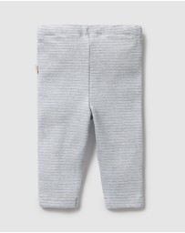 Wilson & Frenchy - Organic Stripe Rib Leggings - Babies
