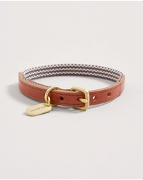 Country Road - Alfie Recycled Polyester Small Pet Collar