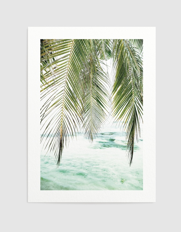 Olive et Oriel - Seaside Palm Art Print