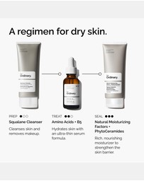 The Ordinary - Amino Acids + B5 - 30ml