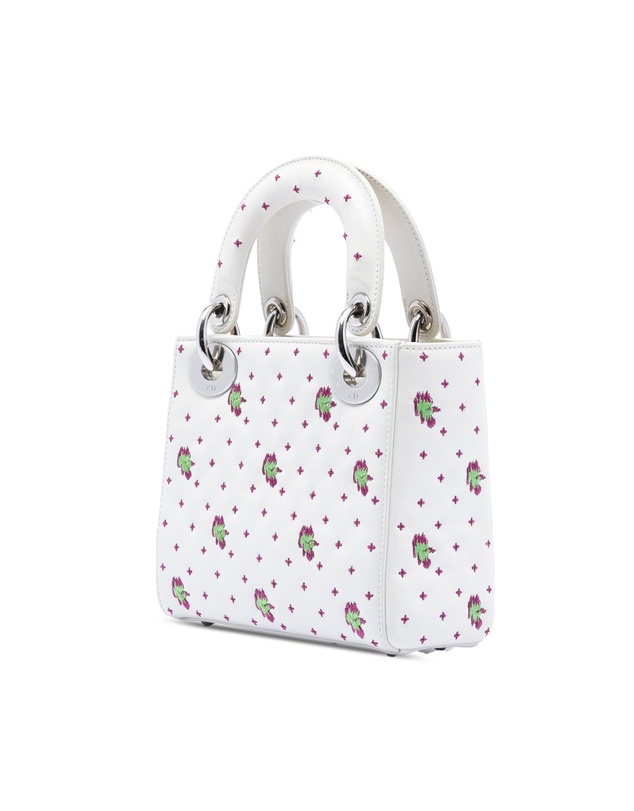 Pre-Loved by Azura Reborn - Pre-Loved Mini Embroidered Calfskin Lady Dior