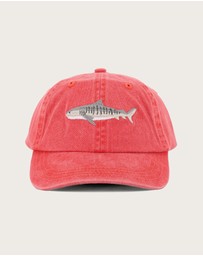Pallion Point - Kids Tiger Shark Fish Lid