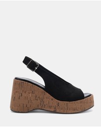 Novo - Belief Wedges