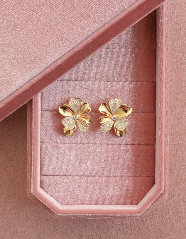 Bianc - Starry Earrings