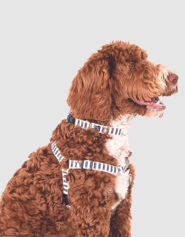 Mog & Bone - Hemp Dog Harness - Black Mosaic Print
