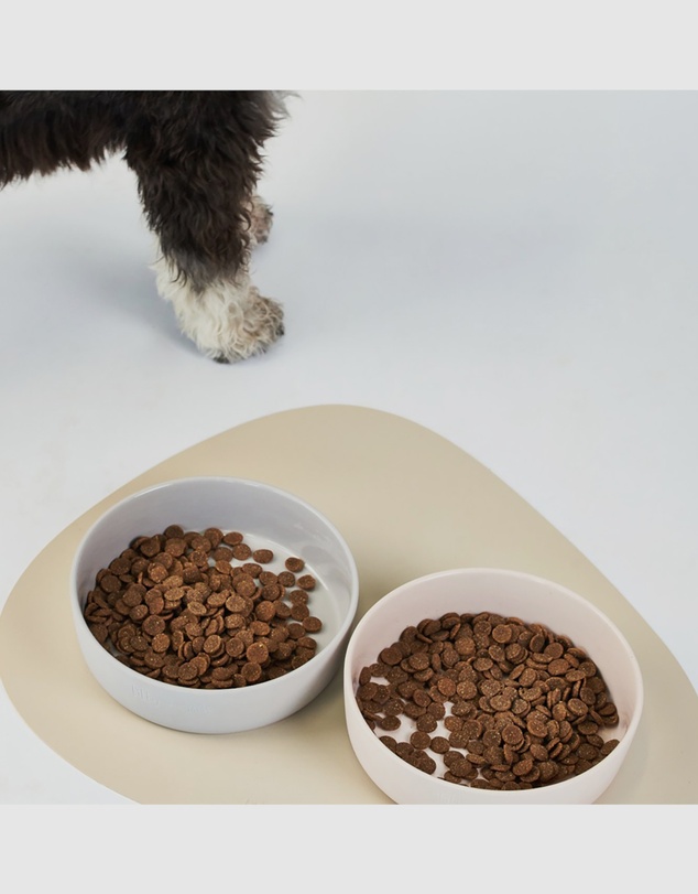 Lilly + Dash - 2pc Dog & Cat Asymmetric Placemats - Pebble Blue