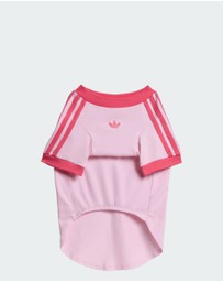 adidas Originals - adidas Pet Cali Tee