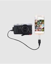 Ugreen - UGREEN USB-C to USB 3.0 Adapter