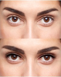 Silk Oil of Morocco - Vegan Faux Mink Lashes Tokyo