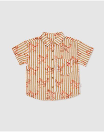 Stripe