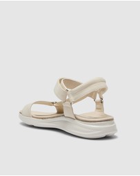 Active Flex - Native