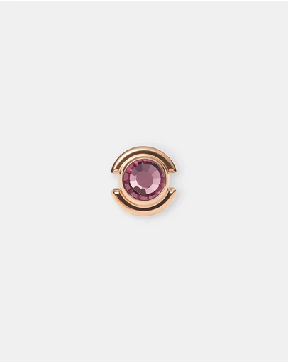 Daniel Wellington - February Charm