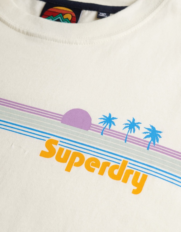 Superdry - Rainbow Stripe Slim Fit Tee