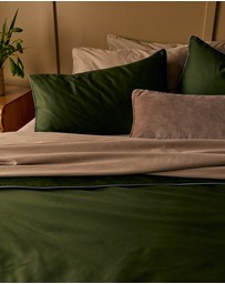 Country Road - Dita Organically Grown Cotton Standard Pillowcase Pair