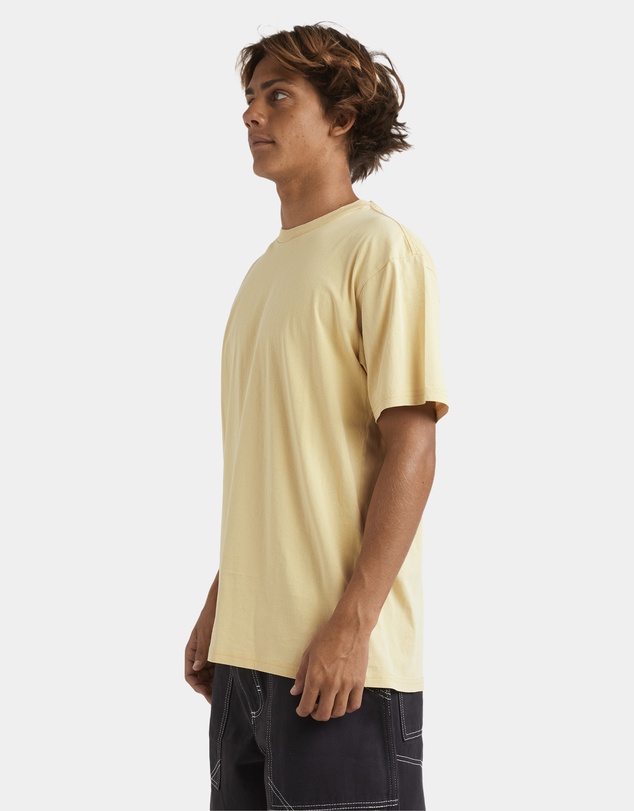 Quiksilver - Mens Salt Water Crew T-Shirt