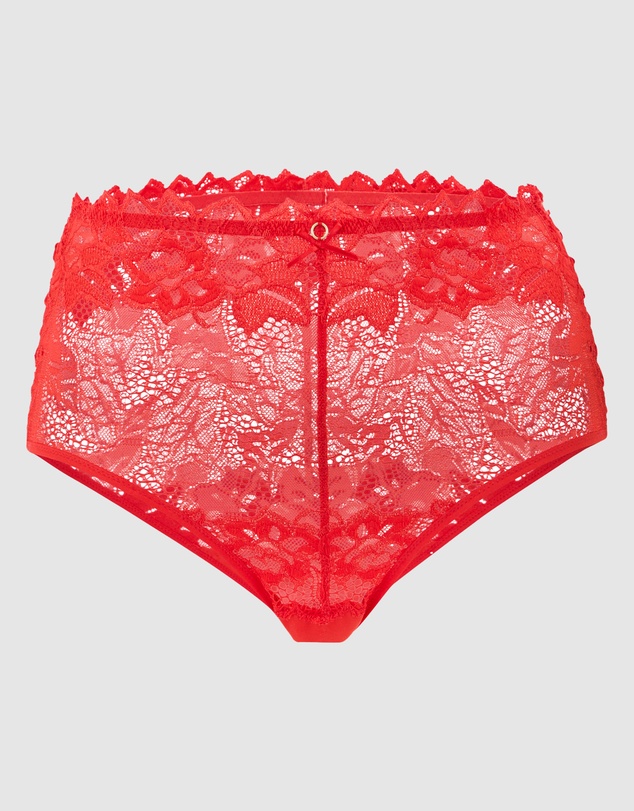 Sans Complexe - Arum Prima Mid Rise Sheer Stretch Lace Brief