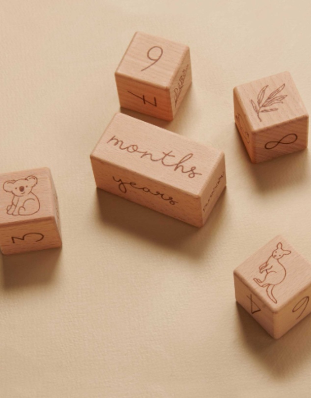 Purebaby - Milestone Blocks - Babies