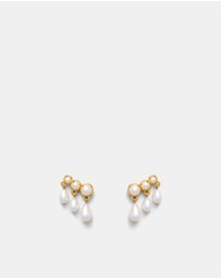 MIMCO - Crystalline Stud Earrings