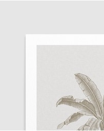 Olive et Oriel - Vintage Palm II Art Print