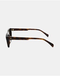AM Eyewear - Steeb