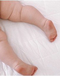 Living Textiles - Smart-Dri Mattress Protector - Large Cot