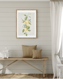 Olive et Oriel - Lemons on Linen II