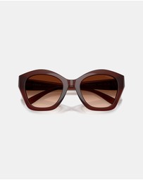 Coach - CAD31