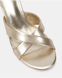 Novo - Zona Heels