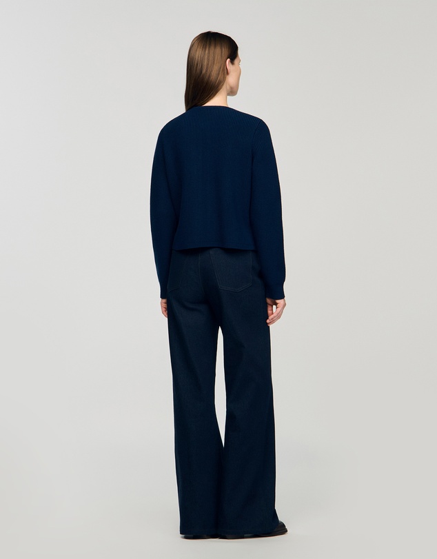 Sandro - Alexandre Cardi-Coat