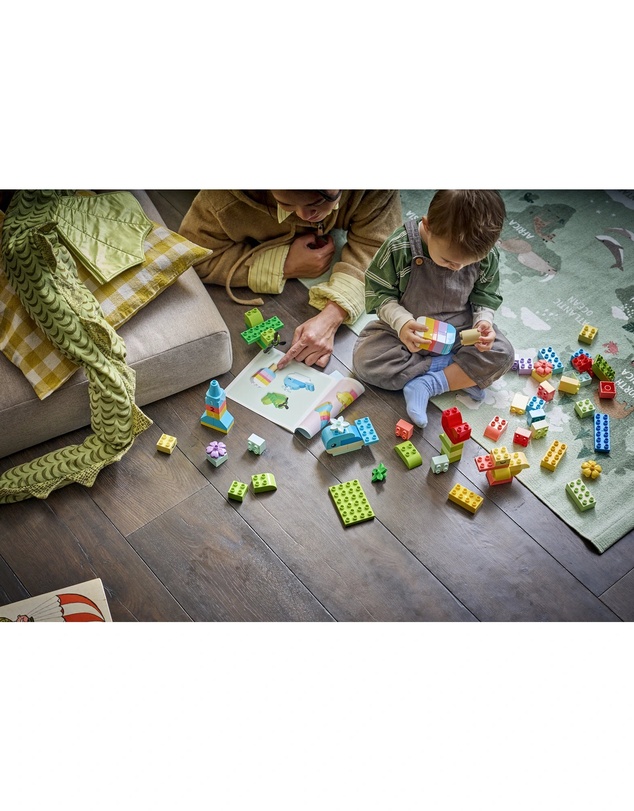LEGO - 10479 Colorful Creative Box