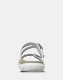Ascent - Groove Buckle