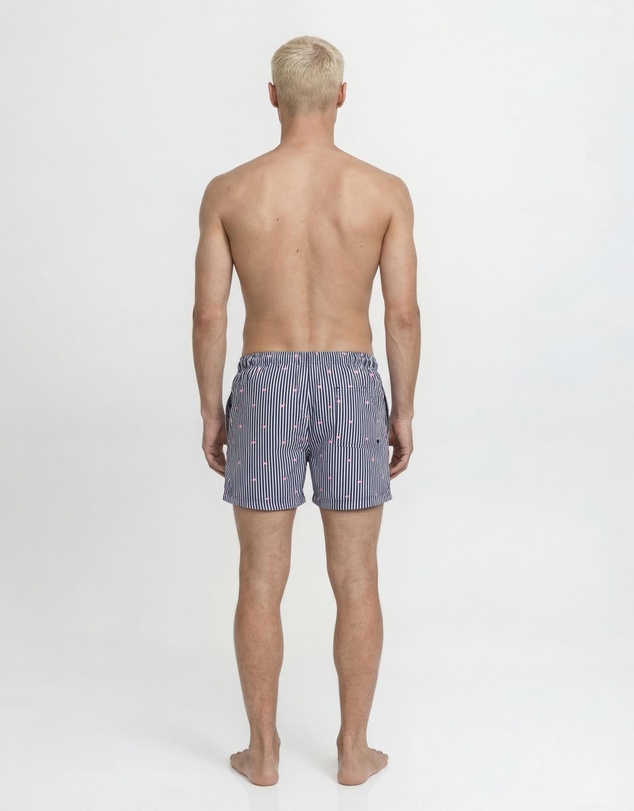 Jack & Jones - Jpstmaui Breeze Mini Stripe Swim Shorts