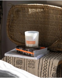 Palm Beach Collection - Watermelon Scented Candle 420g