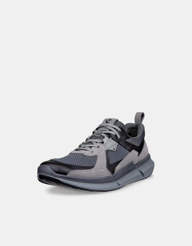 ECCO - ECCO Biom 2.2